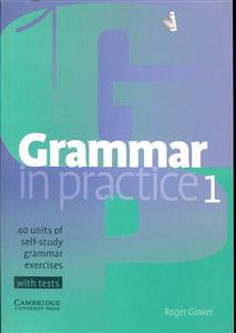 grammar in practice 1